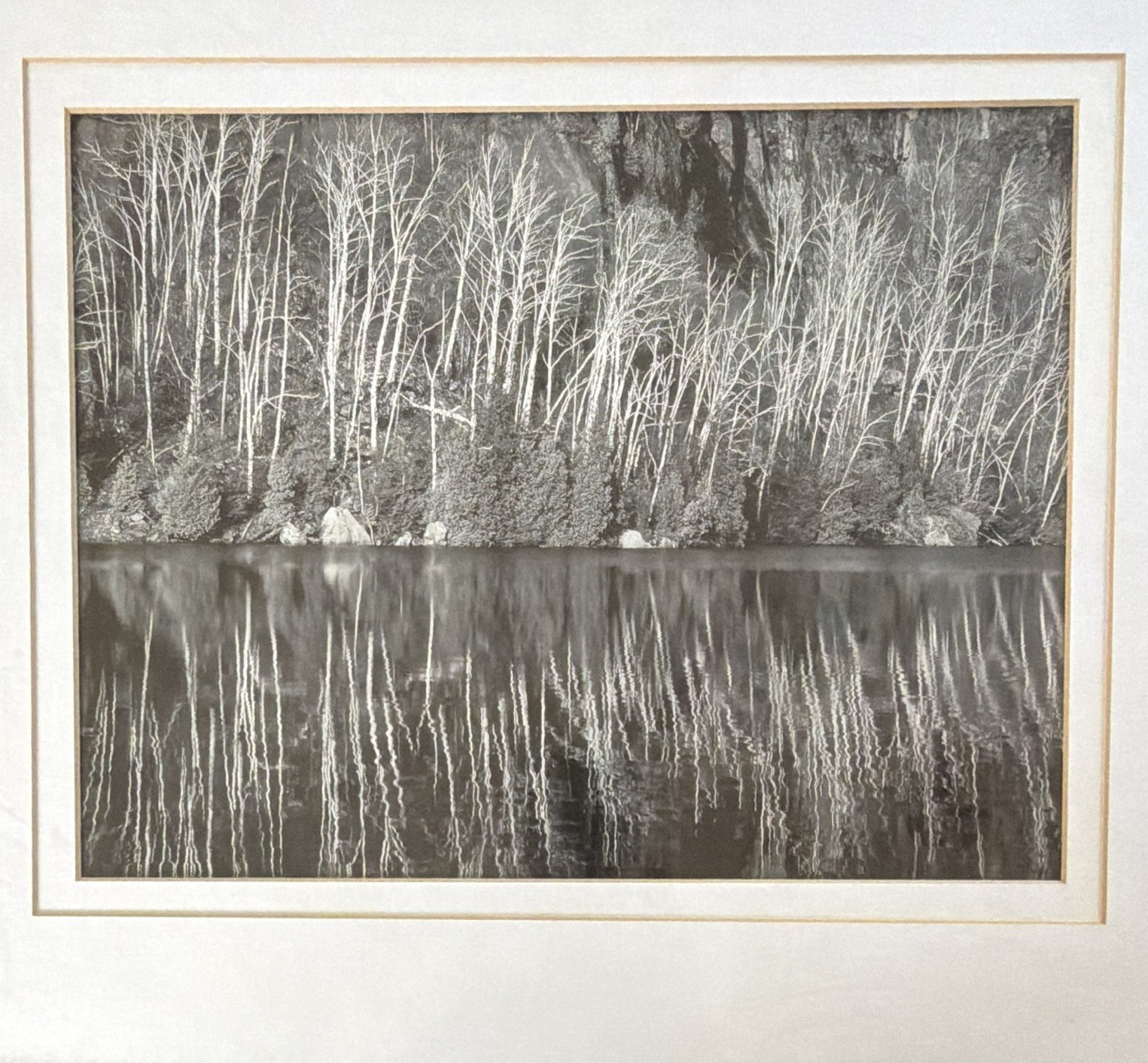 Matted & Framed Black & White Forest Trees Lake Reflection Landscape Photograph