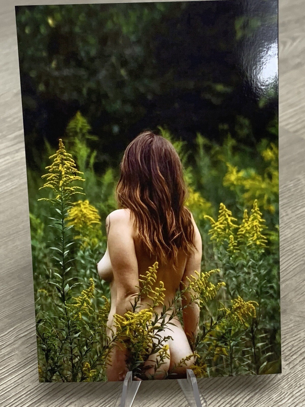 Pinup Girl 4×6 Glossy Photograph Beautiful Woman Nude Model Female Form Fine Art
