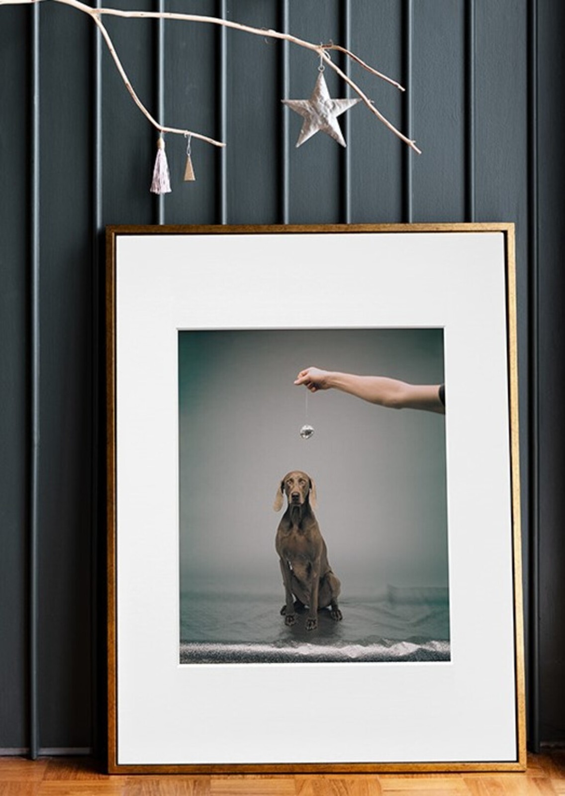 WILLIAM WEGMAN ‘Hypno’, 1988/2022 SIGNED Ltd. Ed. Color Dog Photograph 10″ x 8″