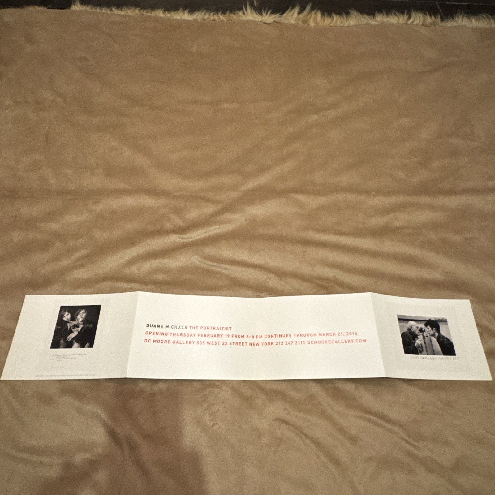 Rare 2015 Duane Michals Photographs Anthony Red Art 5 1/4in X 7 3/4X 30in