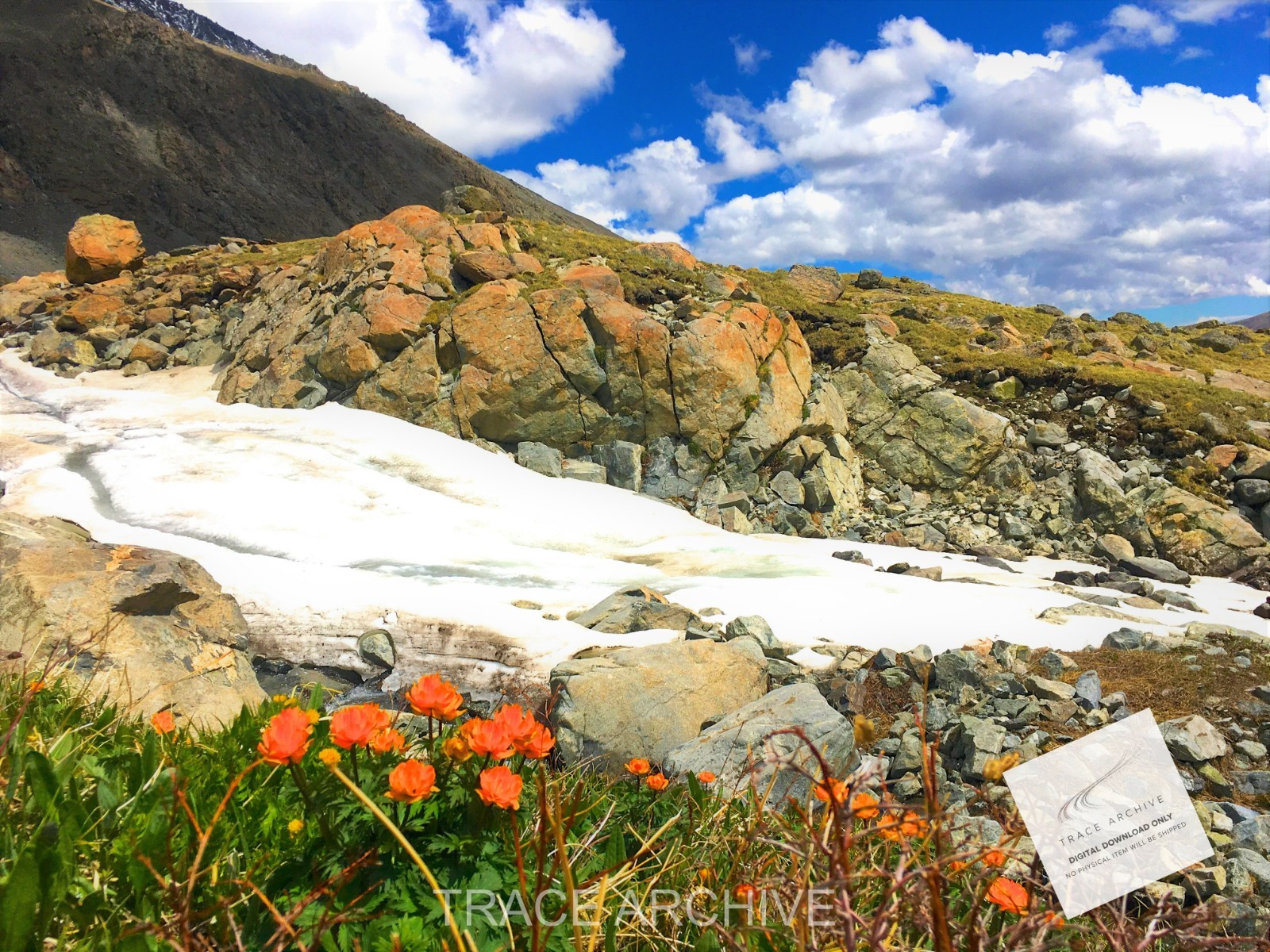 Nature Landscape Photography | Digital Download Image – Background Wallpaper L43