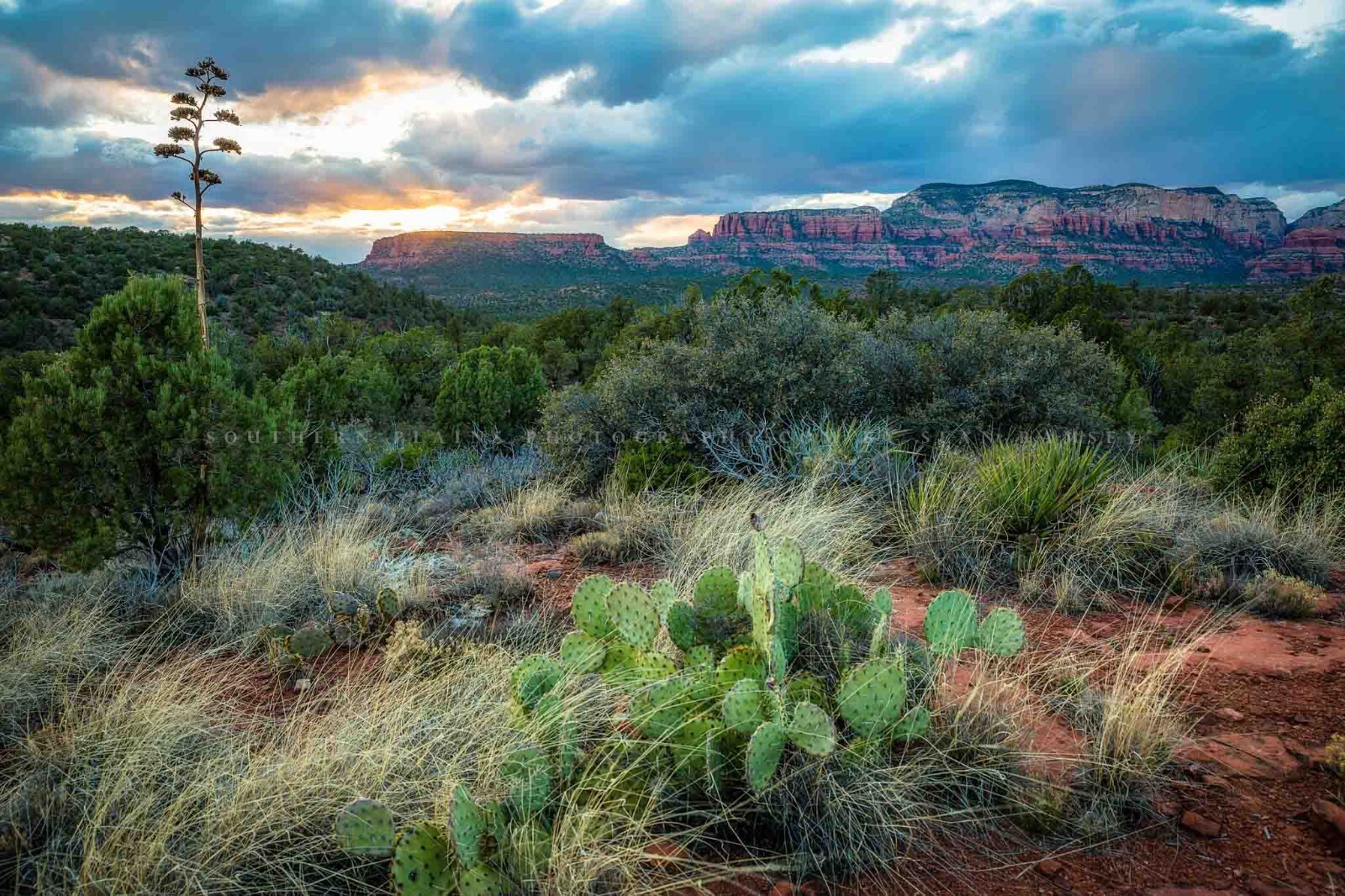 Sedona Photography Print: Arizona Desert Southwest Landscape Sunset Photo
