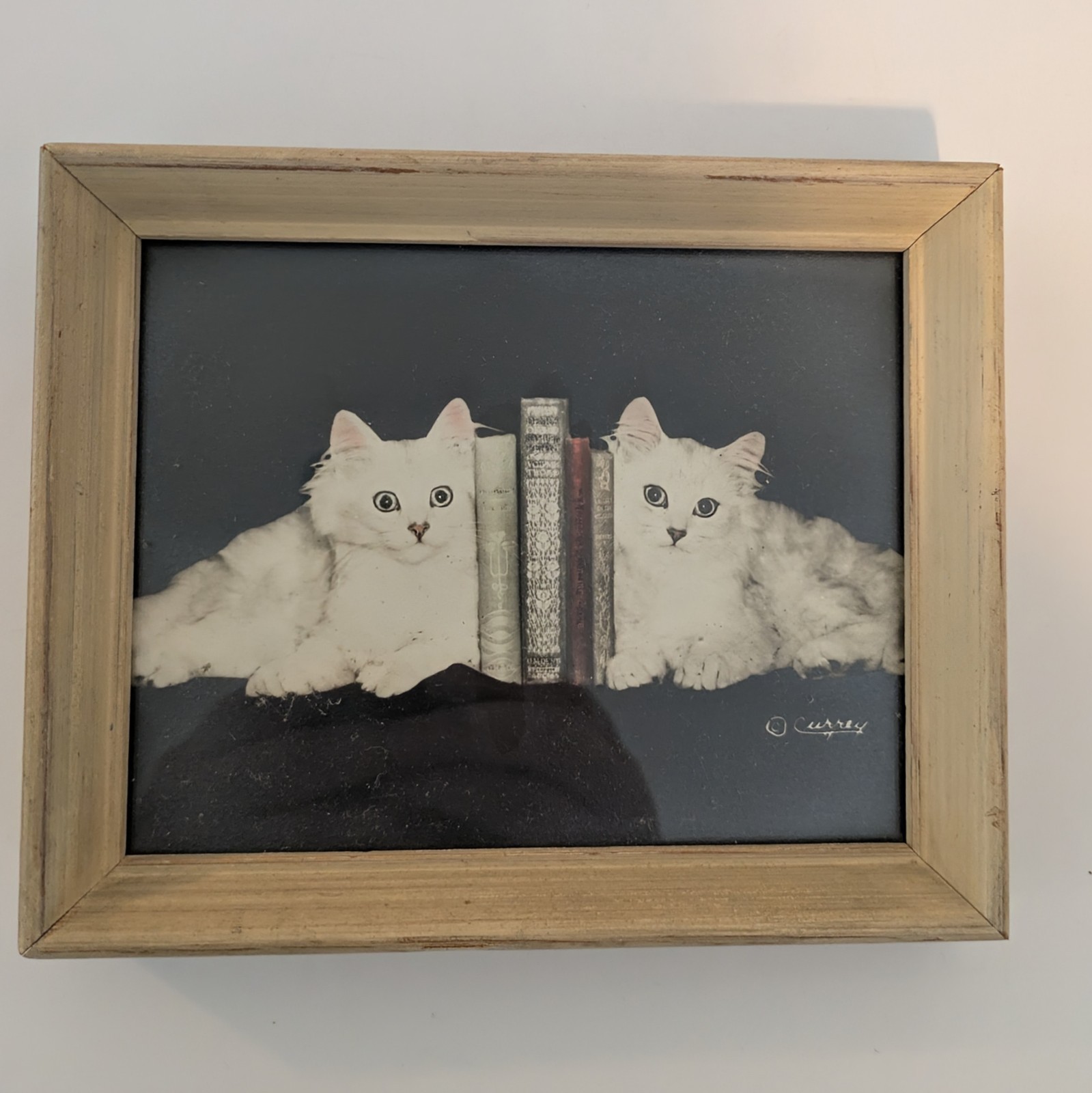 Bradley R Currey Cats Pictures Lot Of 6 White Cats 5.5″ X 4.5″ Piano Books Chair