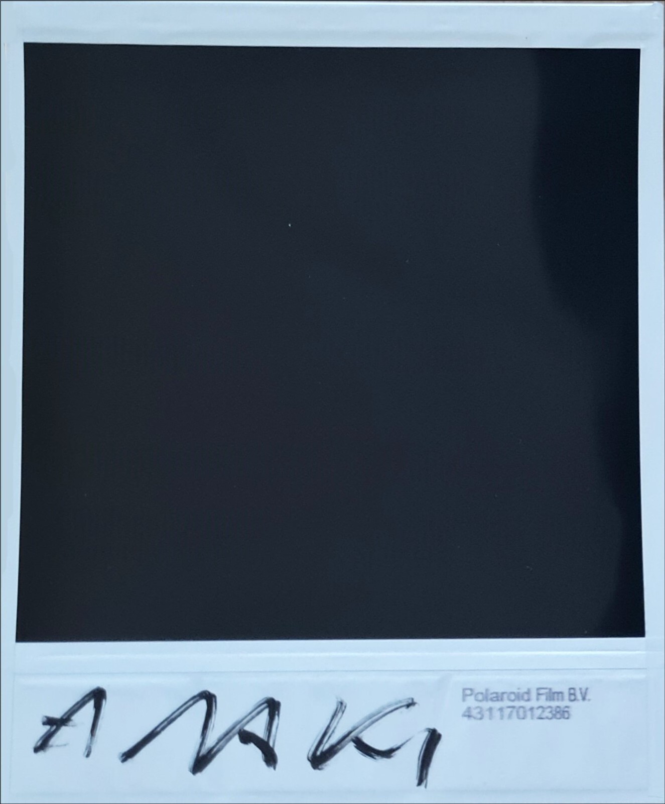 NOBUYOSHI ARAKI * NUDE * POLAROID ORIGINAL SIGNED & CERTIFIED BY ARTIST
