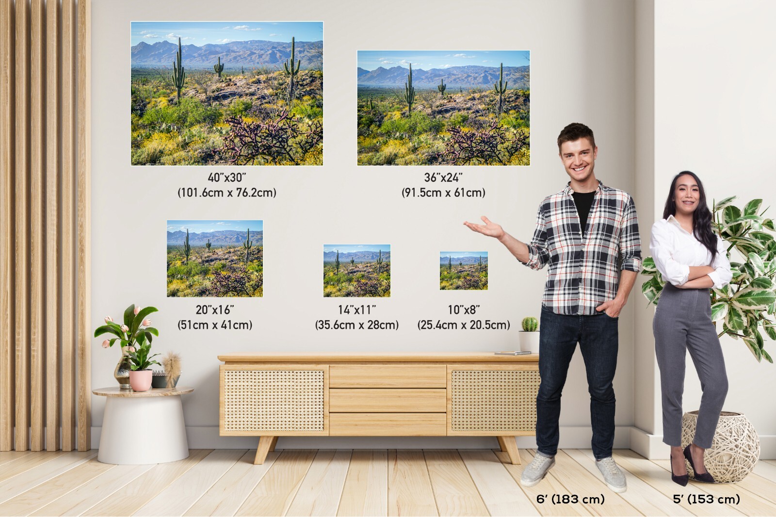 Desert Tapestry: Saguaro National Park East Arizona Cactus Desert Wall Art