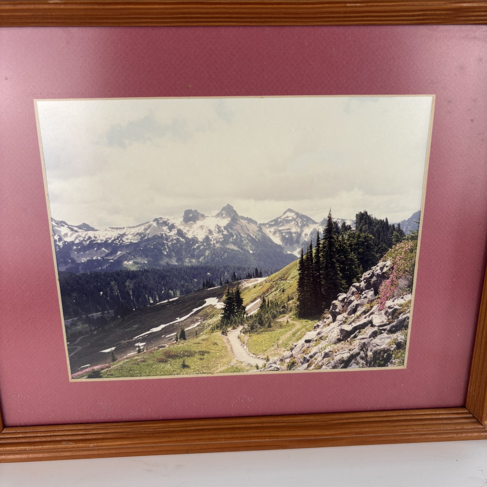 Vintage Framed Landscape Photo Snowy Mountains Forest Hiking Trail Matted Art