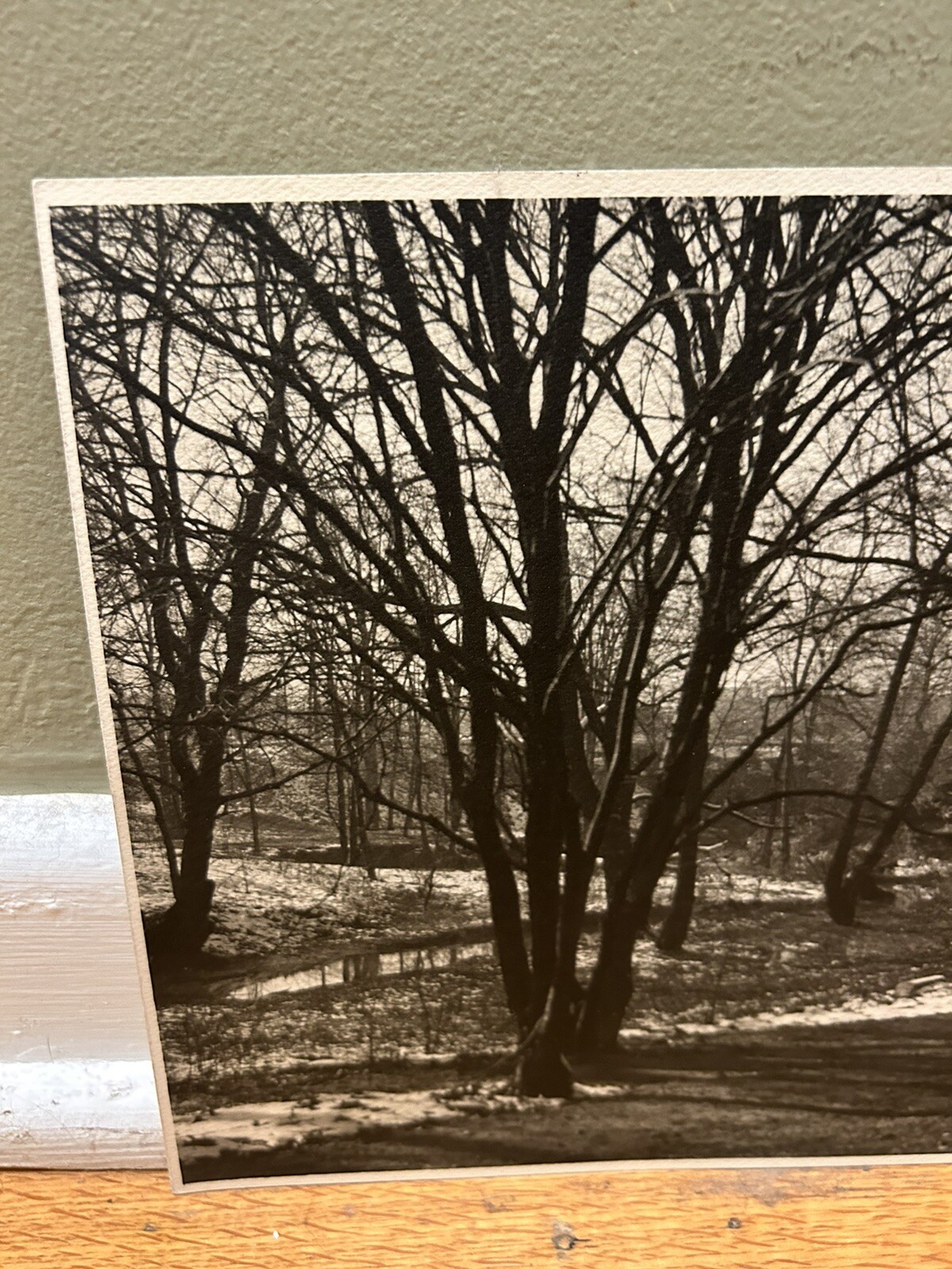 Arthur Gray Standard Oil Photographer Cleveland Ohio Americana Wooded Landscape!