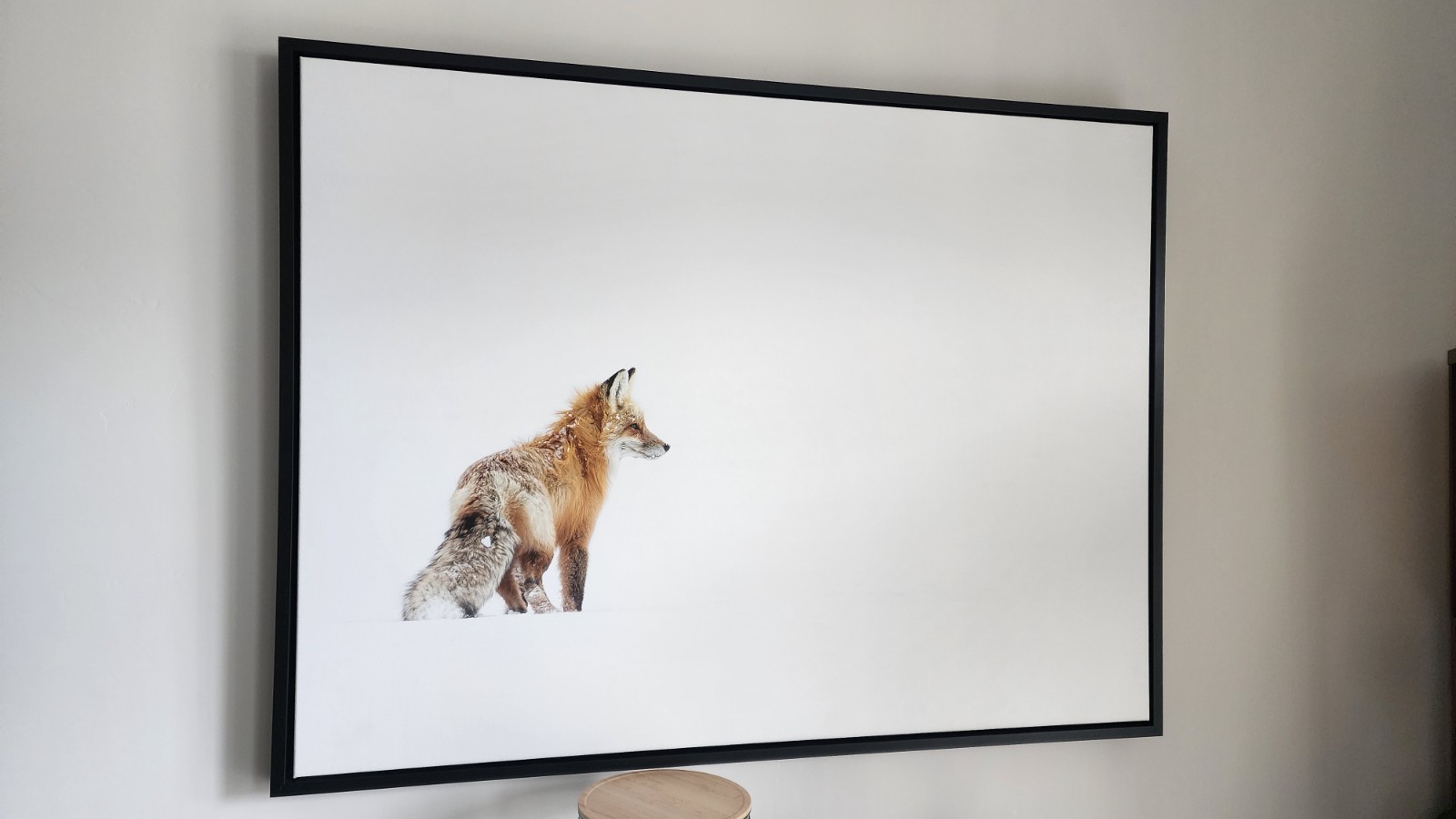Red Fox in Yellowstone 40×30 inch Framed Canvas Wildlife Photography Print