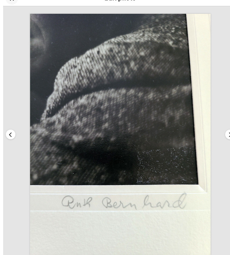 RUTH BERNHARD Signed Gelatin Silver Print B&W 7 1/2 x 9 1/2 NOT a Photo Gravure