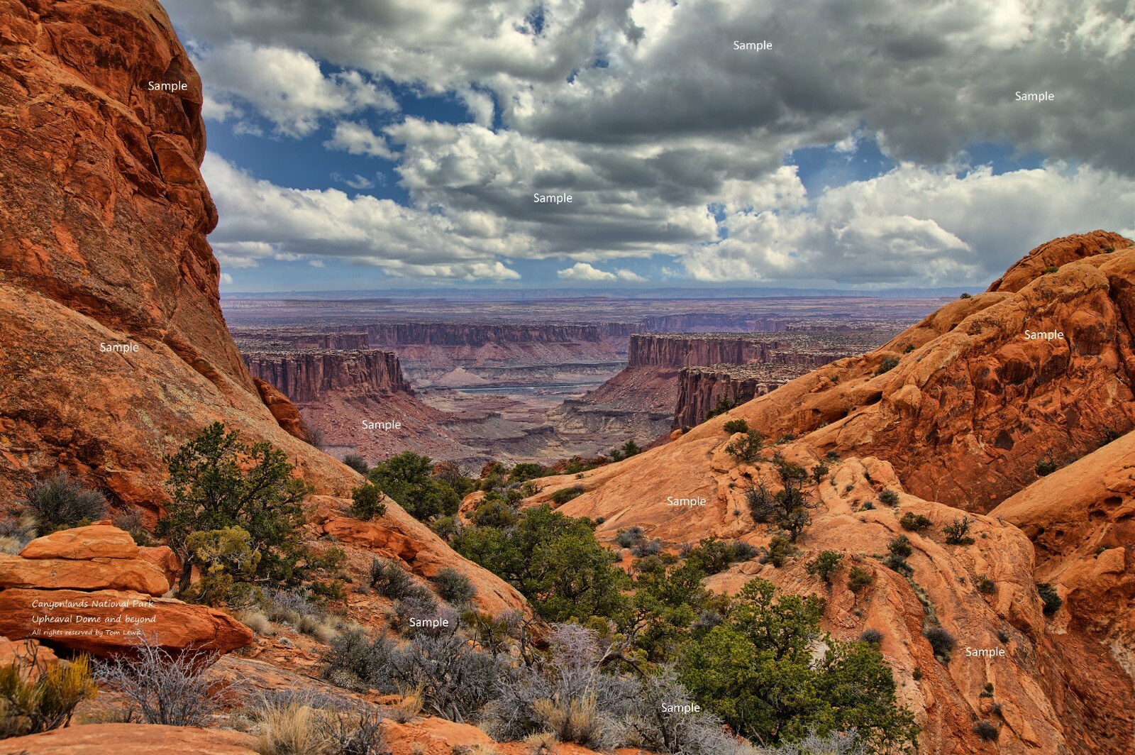 Canyonlands National Park #5 Moab Utah Desert Photo Poster Print CP04