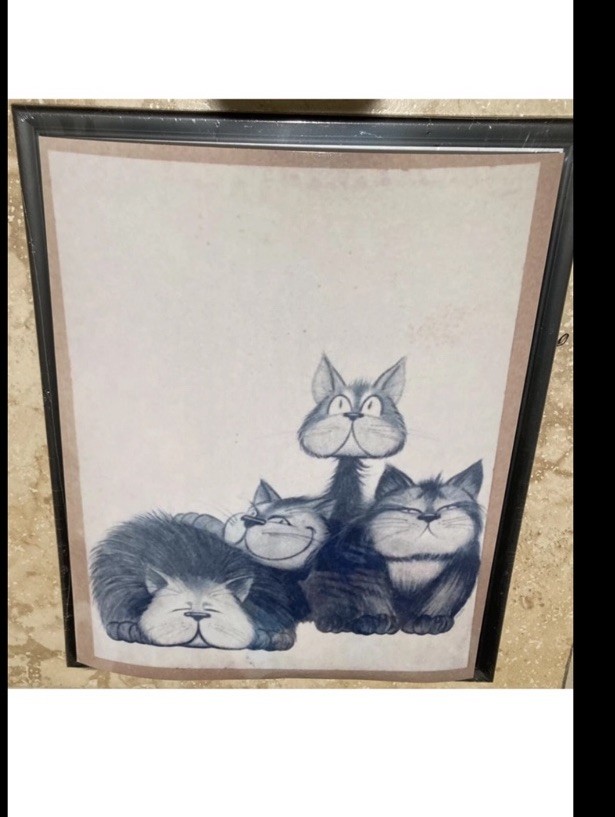Hilarious cat photo art 8” x 10”