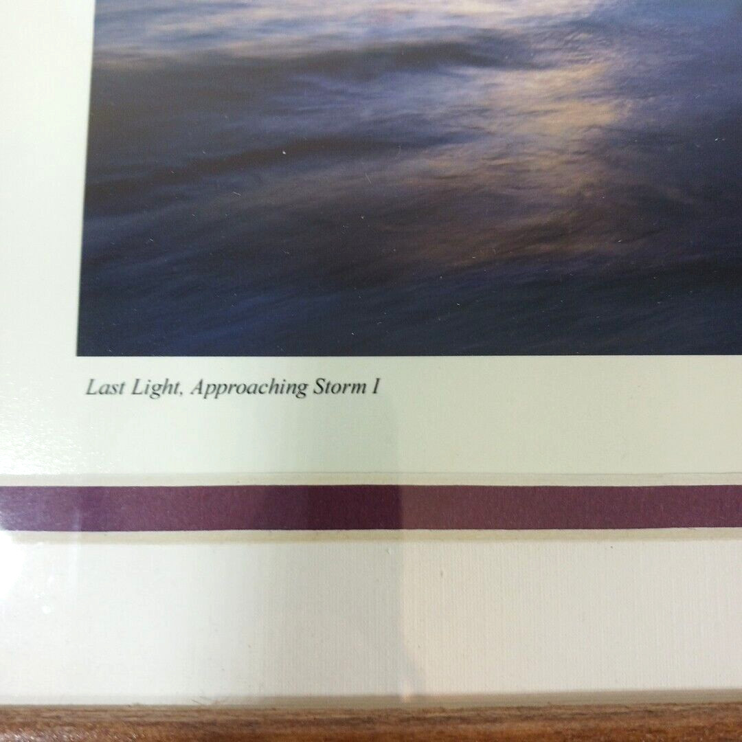 Jeff Ripple Photograph Ocean Beach Sunset Beachscape Signed Matt