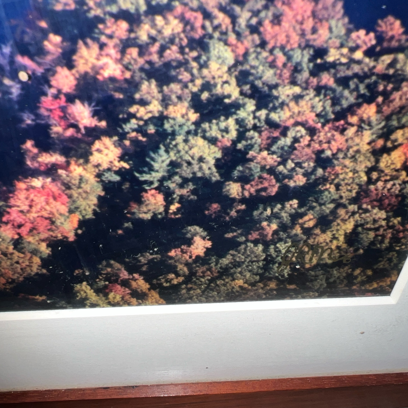 Vintage large JRM framed aerial photo WELLESLEY COLLEGE Wellesley MA Lake Waban