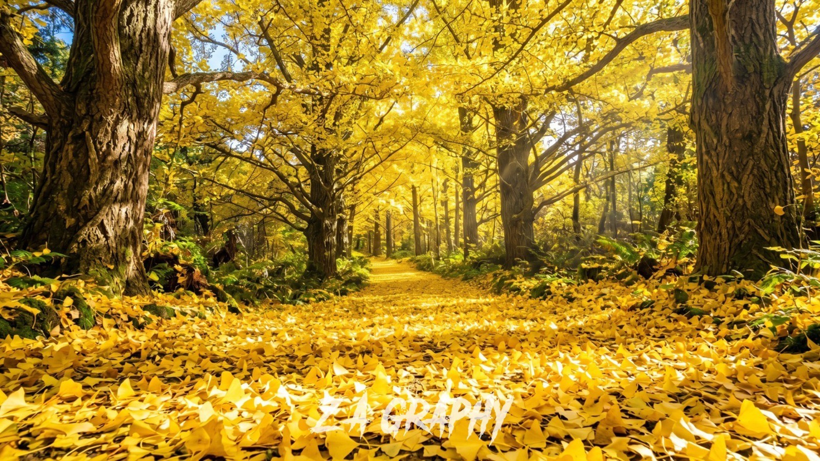 Photo Digital Product Wallpaper Image Picture Background AI Nature Art Sample