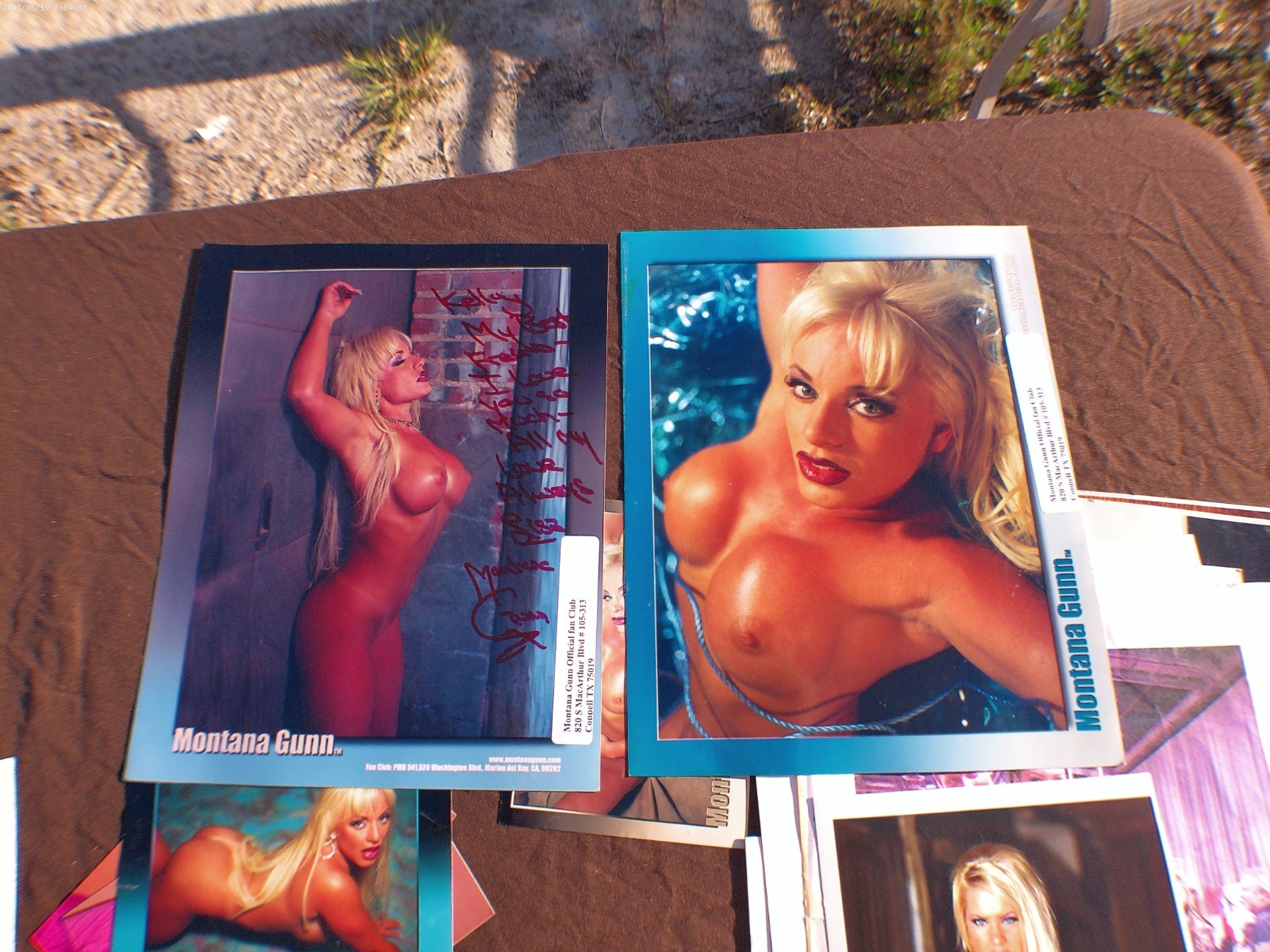 Large lot of Stars signed photos