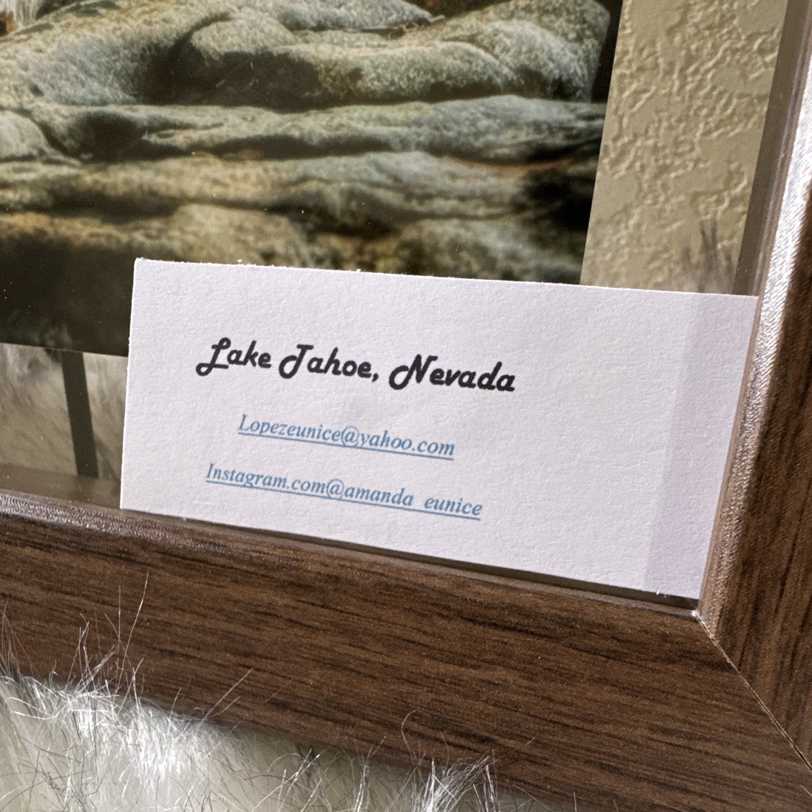 Amanda Eunice “Lake Tahoe, Nevada” Framed Color Landscape Photo Nature