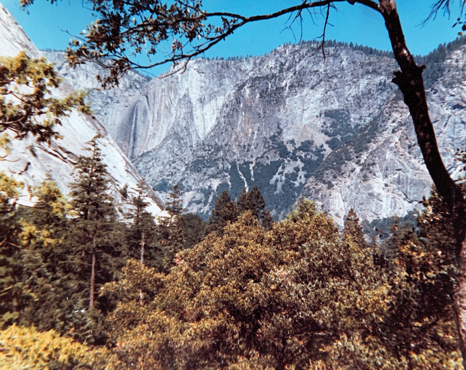 11×14 Color Photo Print Lake Tahoe Area CA Landscape Mountains & Brush Trees