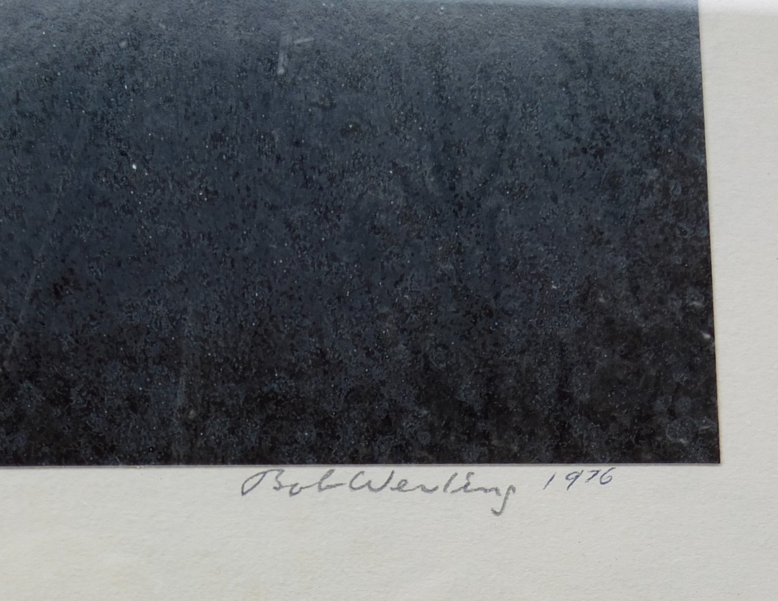 Robert (Bob) Werling 1976 Photograph Of Light In Forest Pencil Signed In Frame