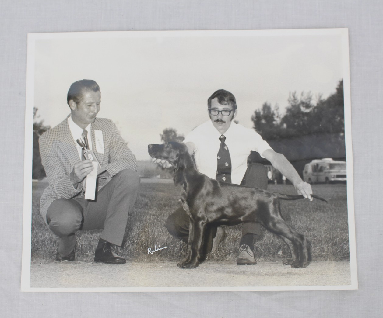 Vintage Dog Show Photograph Setter Signed Rubin 8×10 Award Ribbon 1970s Photo