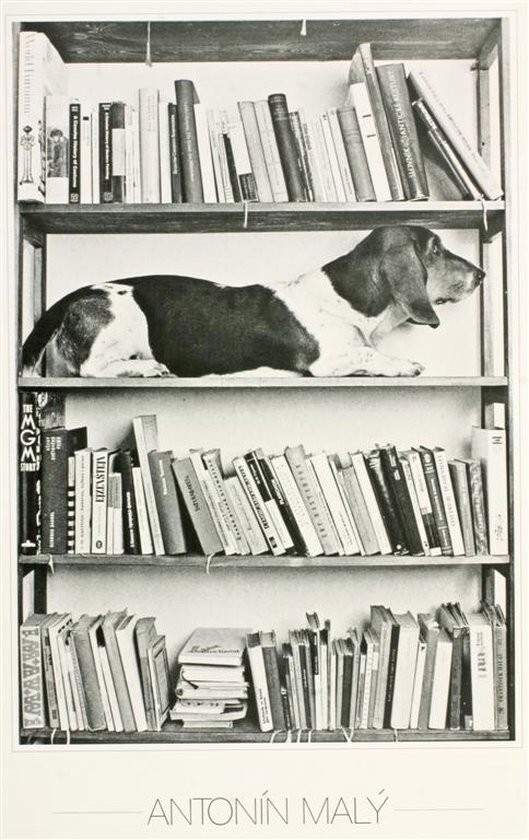 Antonín Maly – Eda – 1988 – Offset Poster – Black & White