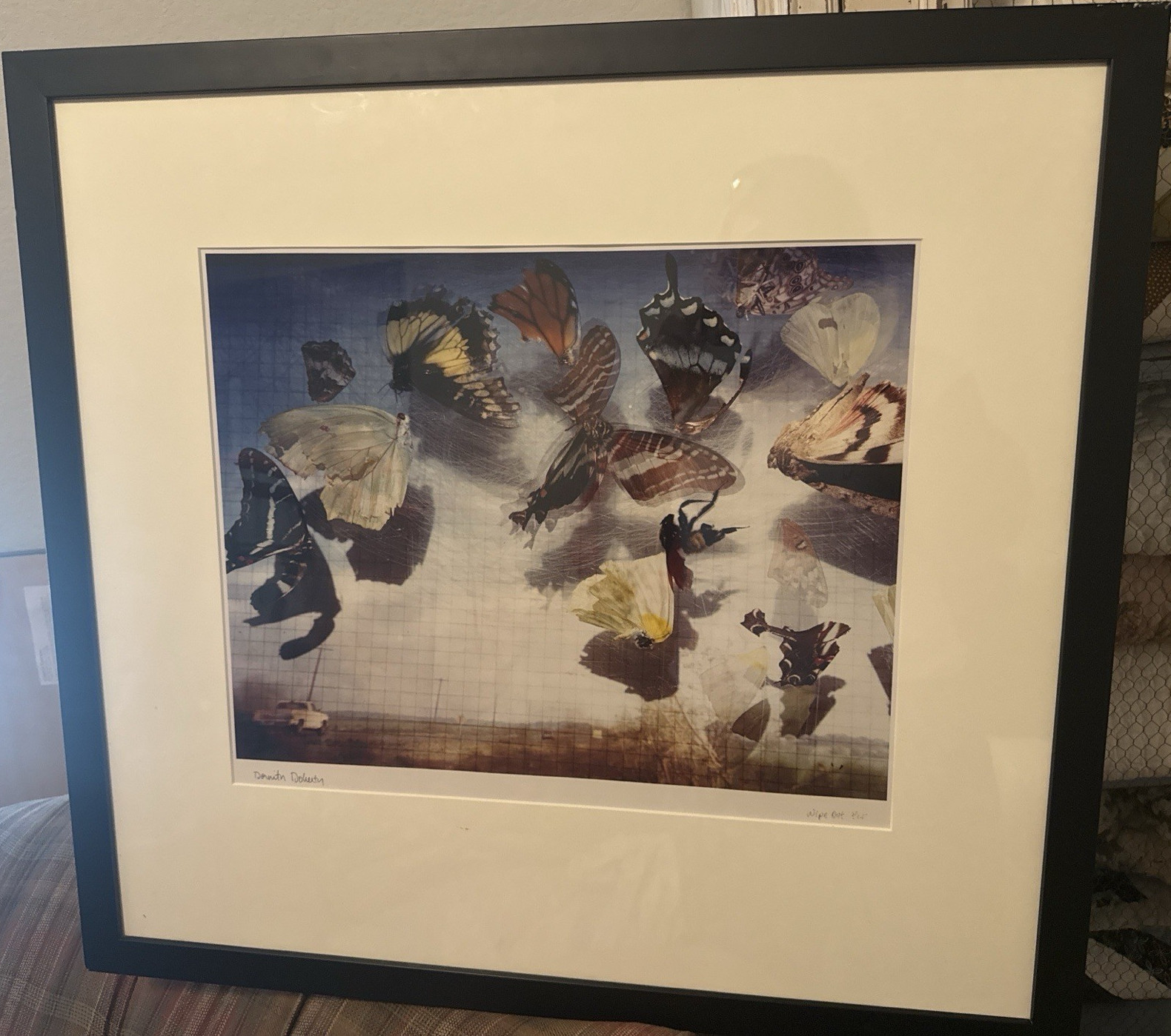 Signed Limited Edition “Wipe Out” Dorothea Dolevsky – Framed Butterfly Art Print