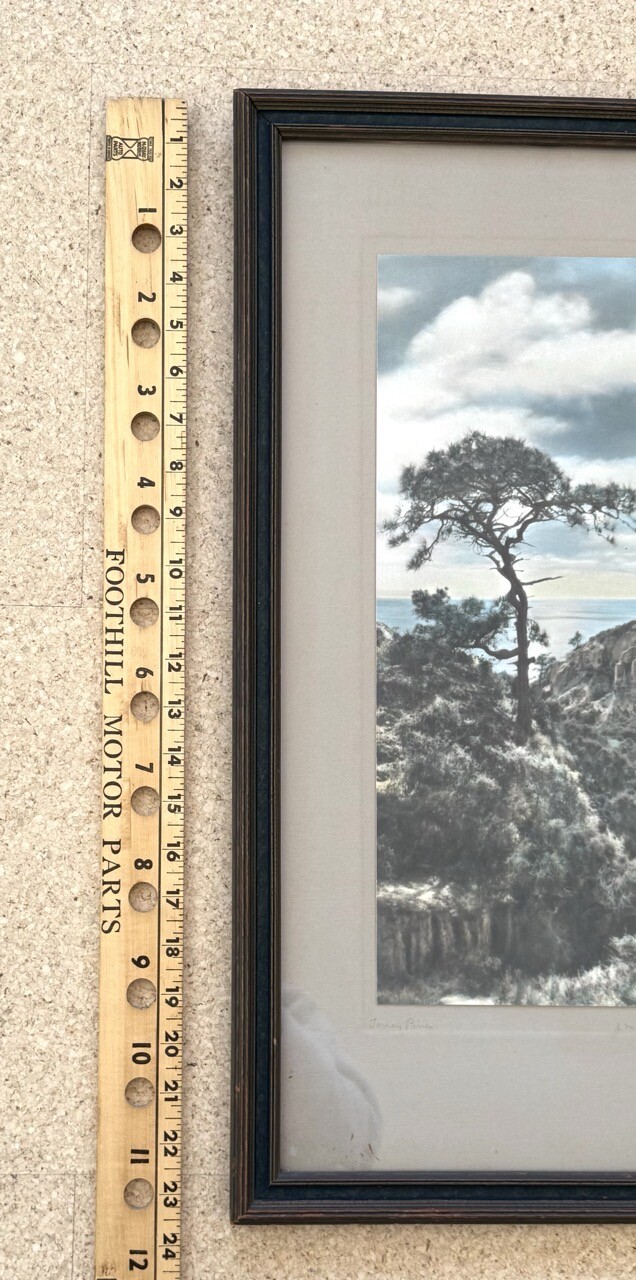Lg VTG J.M. Garrison Hand Tinted Oil Color Photo Torrey Pines 12.5”x23.5” VGC