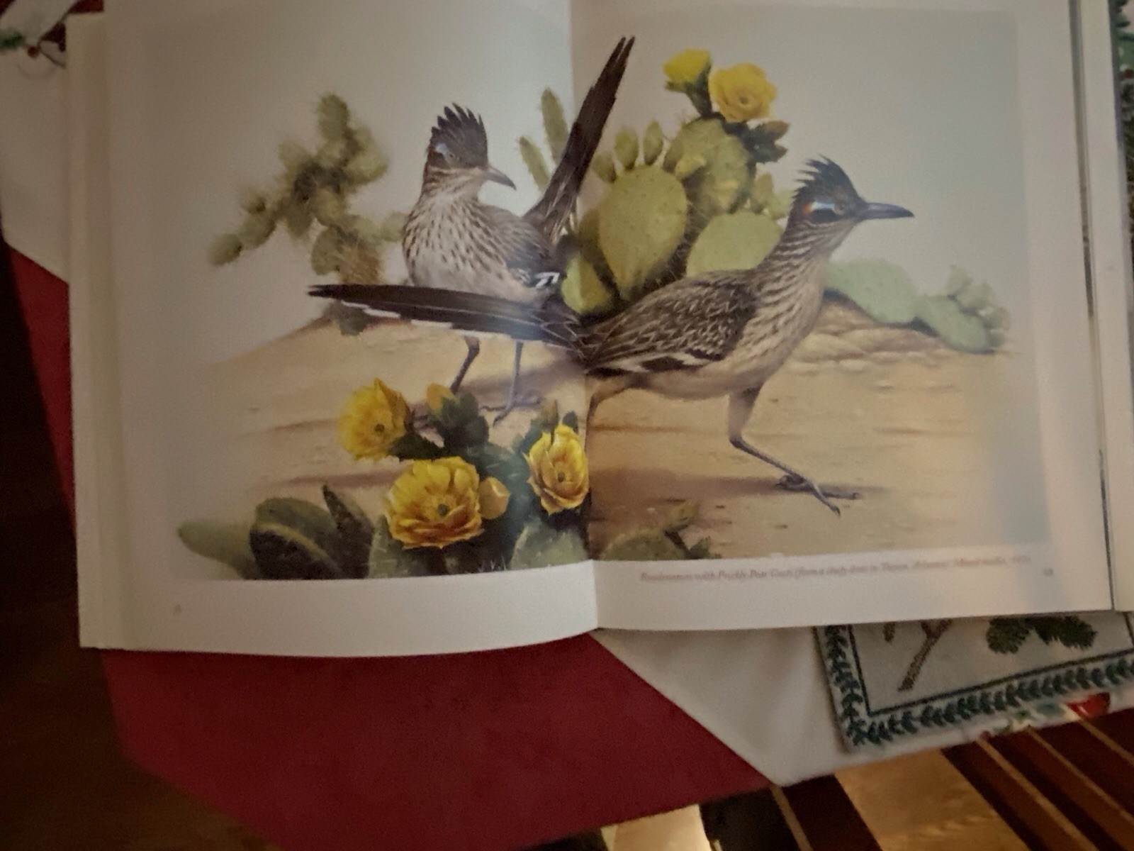 Art & Photo’s Of The World’s Formost Birder, Roger Tory Peterson – Excellent