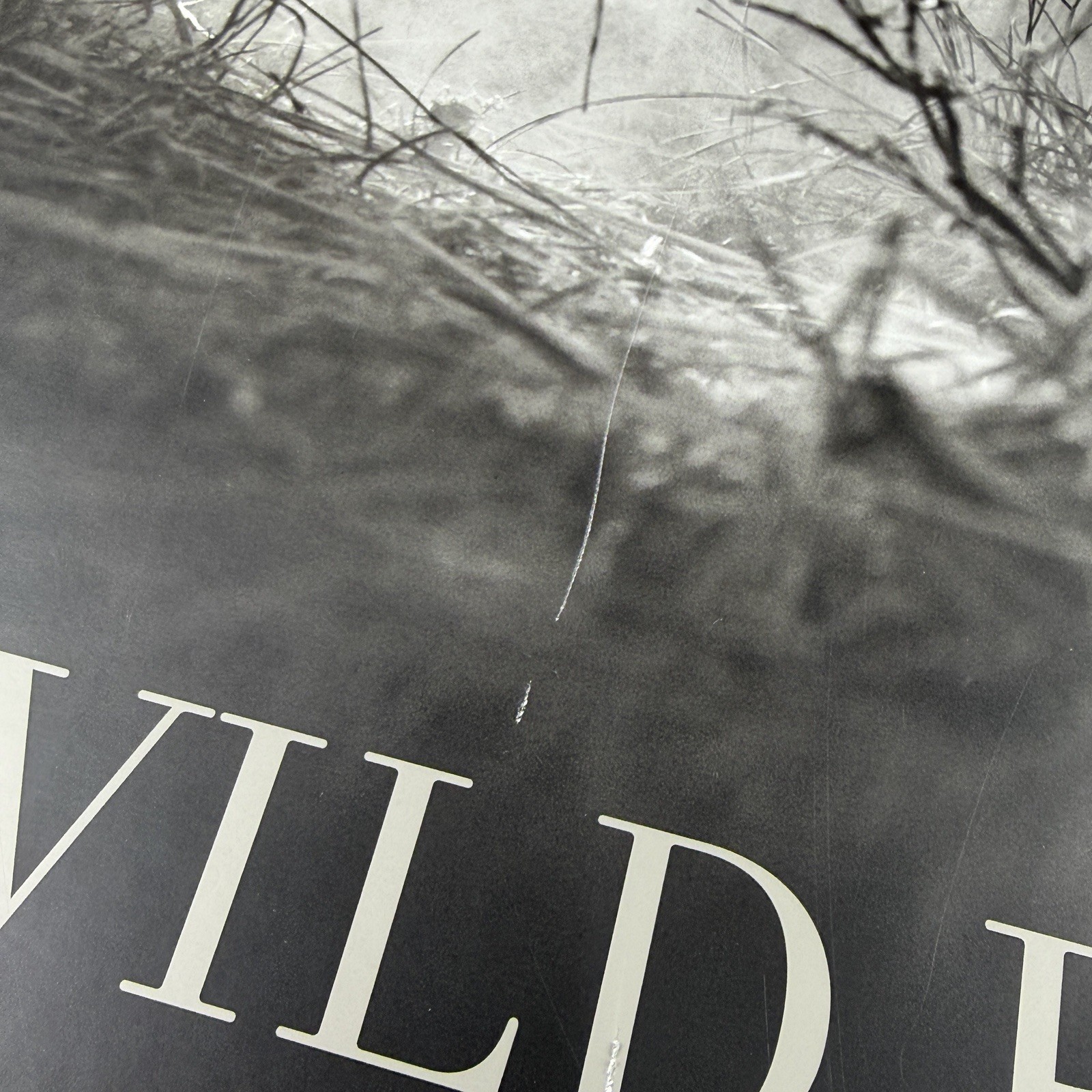 David Yarrow Wild Encounters Signed Book Rizzoli Artist Proof AP Clamshell Box