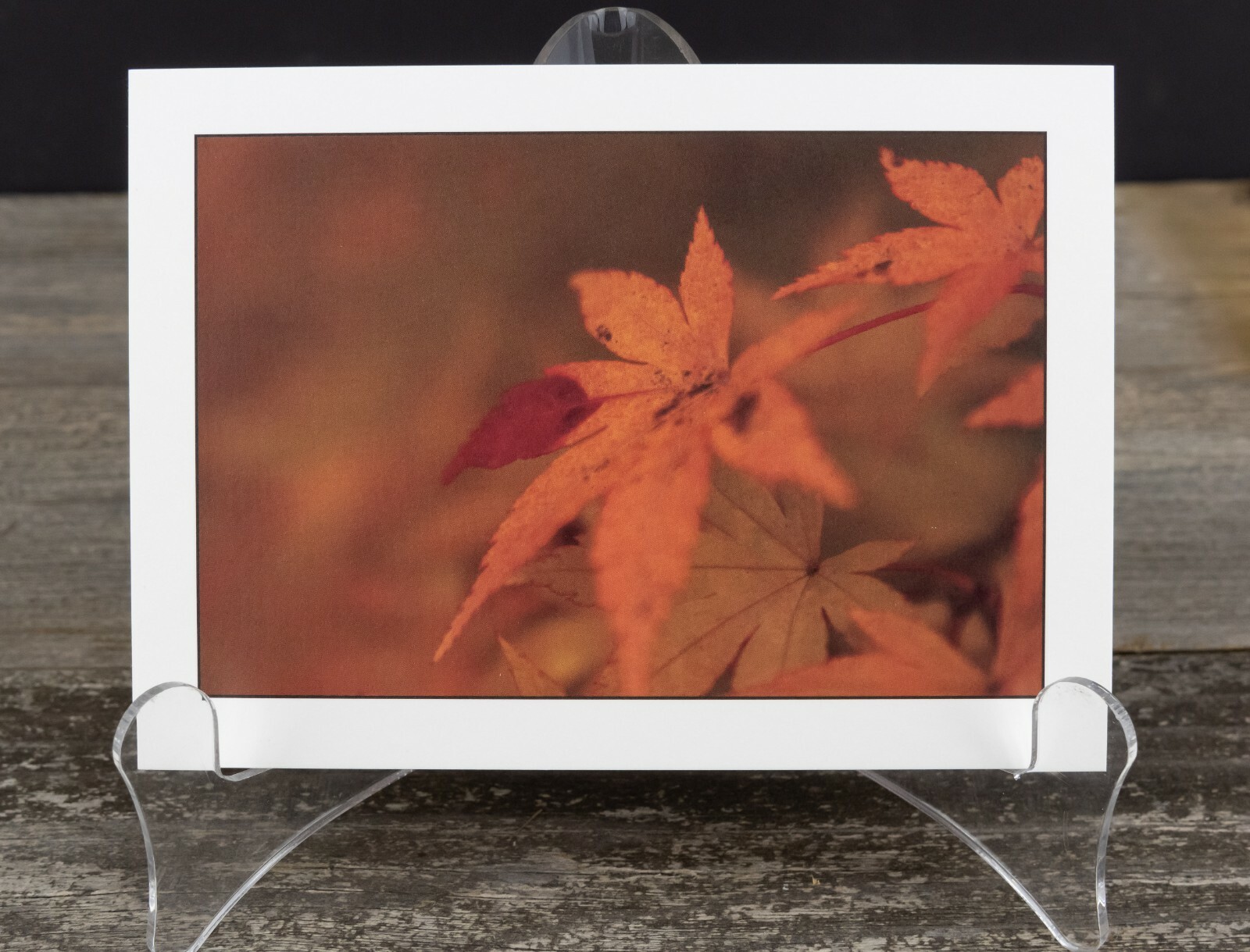 Autumn Leaf Art Print, 5×7, Thick Eggshell Texture Matte Paper, Ready to Frame