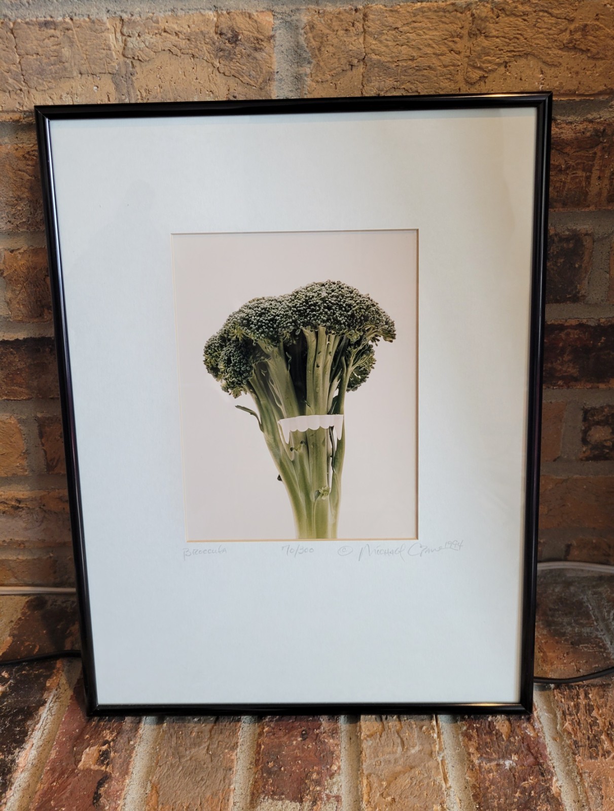 Michael Craven Fine Photography “Broccula” 1994 Signed Framed 70/300 Print 1998