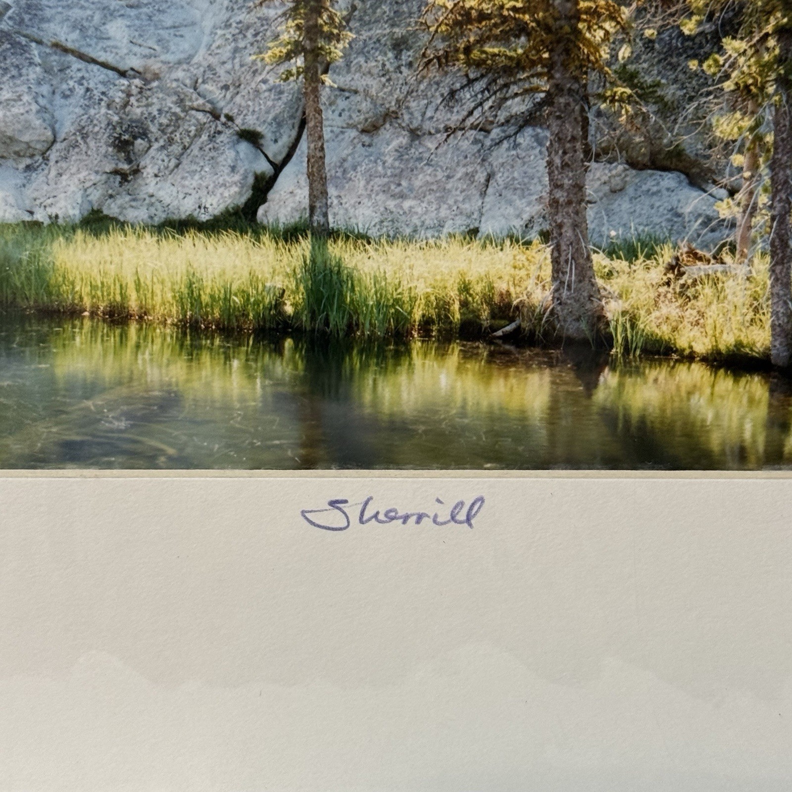 VTG Sherrill SIGNED Matted Photo 8×10 Hoffer Lakes Oregon Forest Landscape Art