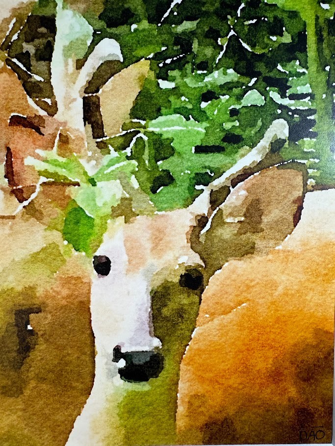 Dear Deer Digital Watercolor Original Art Photograph 8 X 10 Mat 11 X 14 – Signed