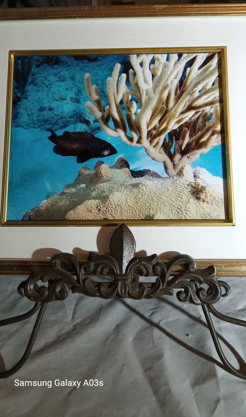 Underwater Jewels By Alex Taylor 8×10 Framed Archival Paper & Ink Digital Photo