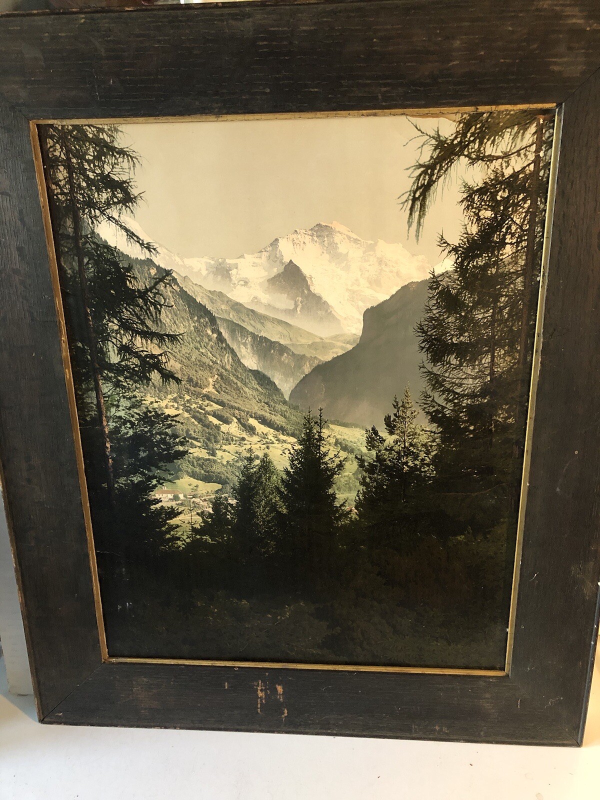 Antique Large Color Photo Alps Landscape Detroit Publishing Co in Original Frame