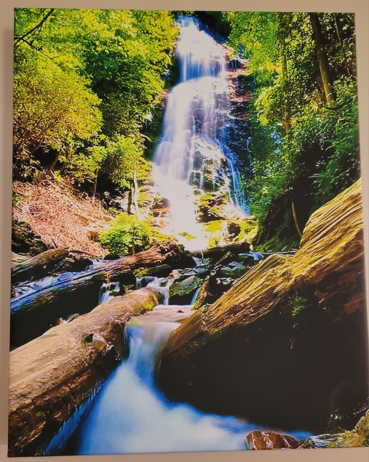 Canvas Photo Mingo Falls Cherokee, NC 16×20 Signed Ltd Edition Gallery Wrapped