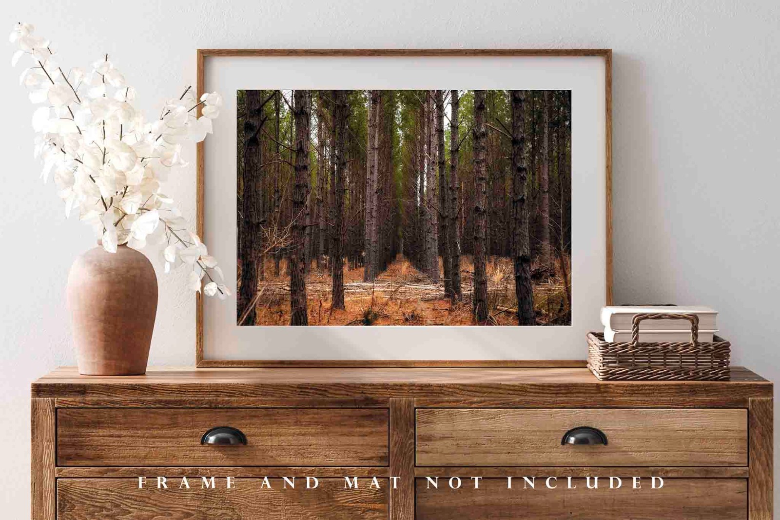 Pine Trees Photography Print: Mississippi Forest Southern Landscape Photo
