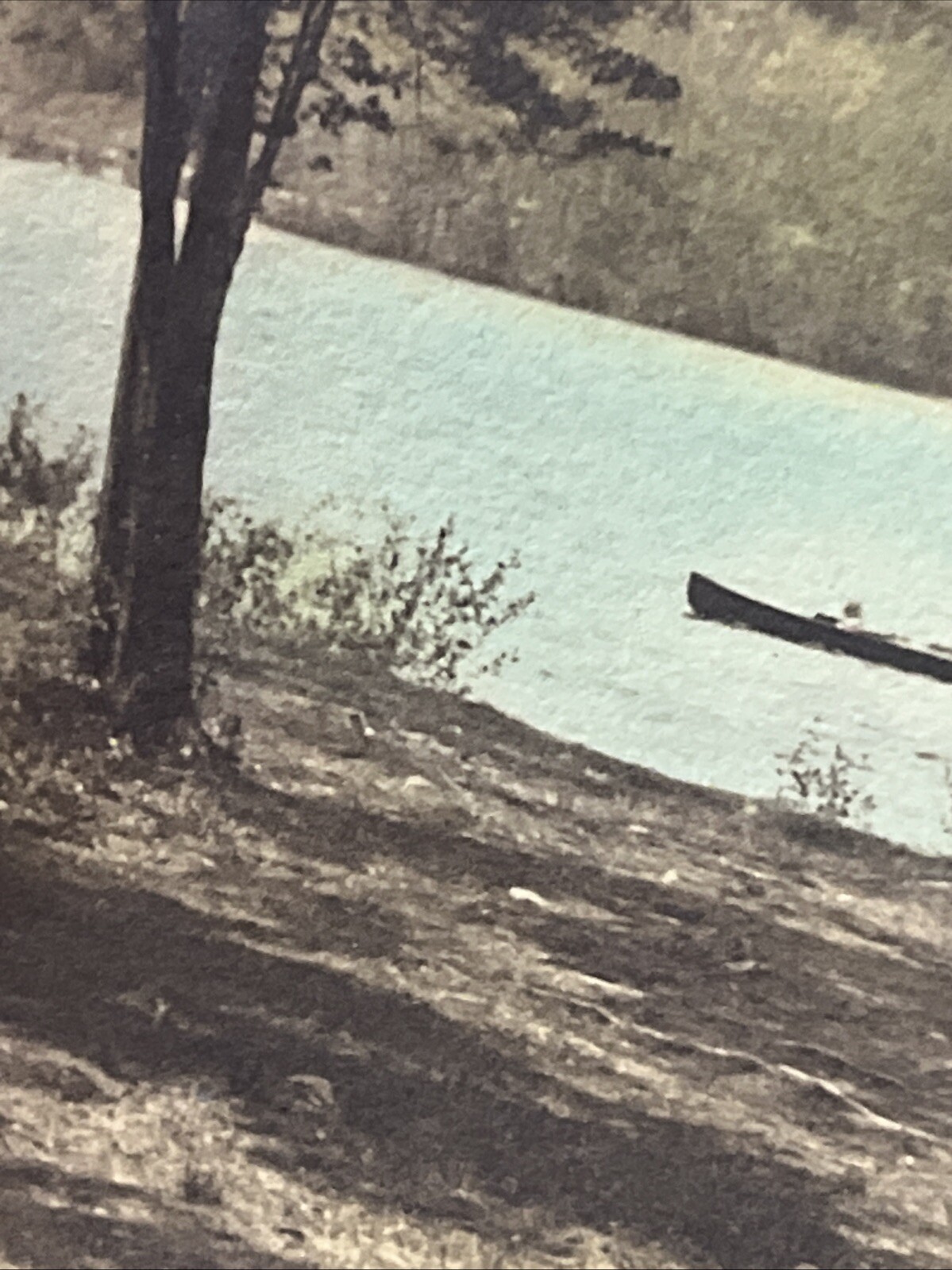Old Color LANDSCAPE PHOTOGRAPHY Lake Scene Boat Trees Sky ANTIQUE PHOTO