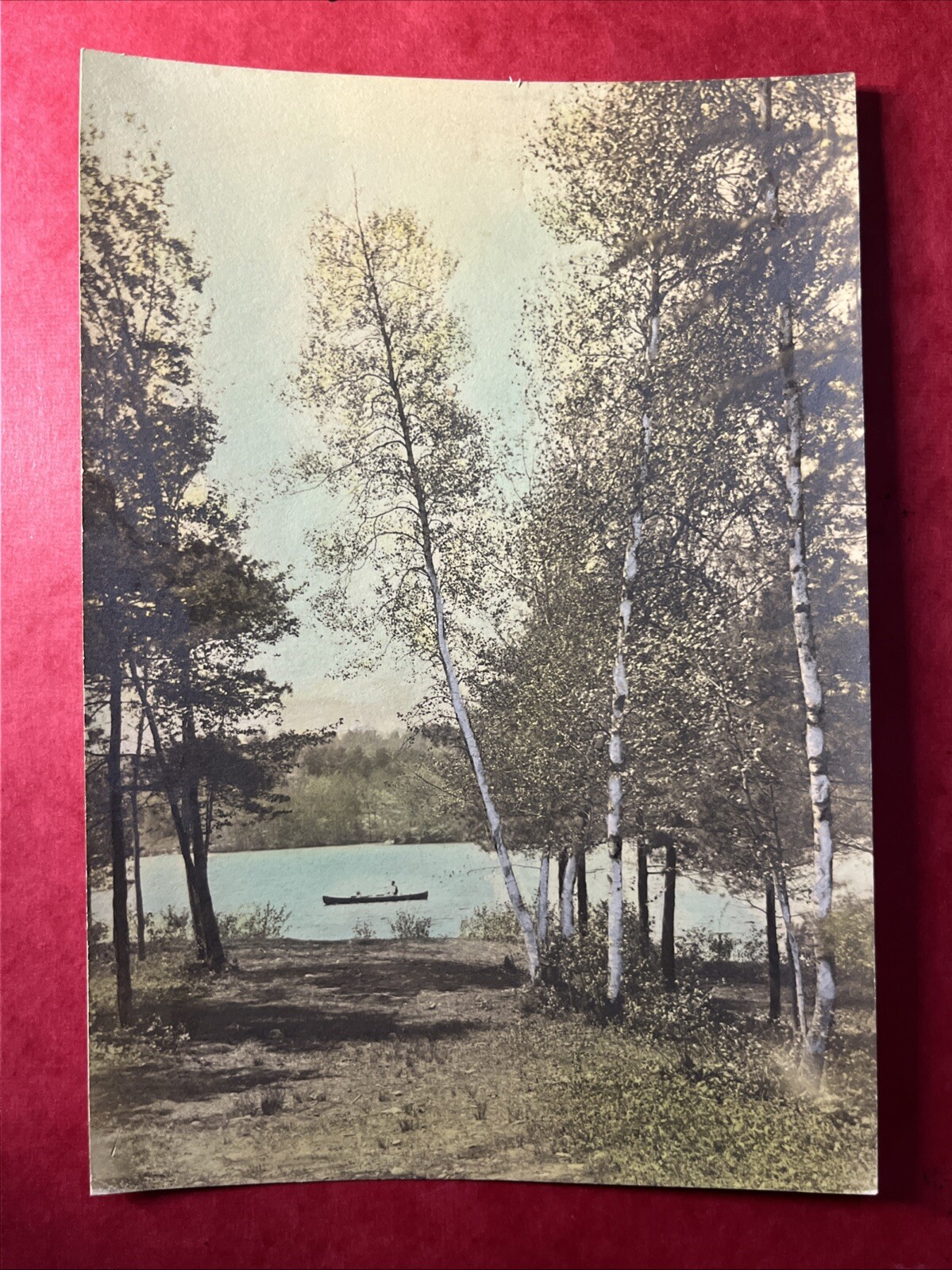 Old Color LANDSCAPE PHOTOGRAPHY Lake Scene Boat Trees Sky ANTIQUE PHOTO