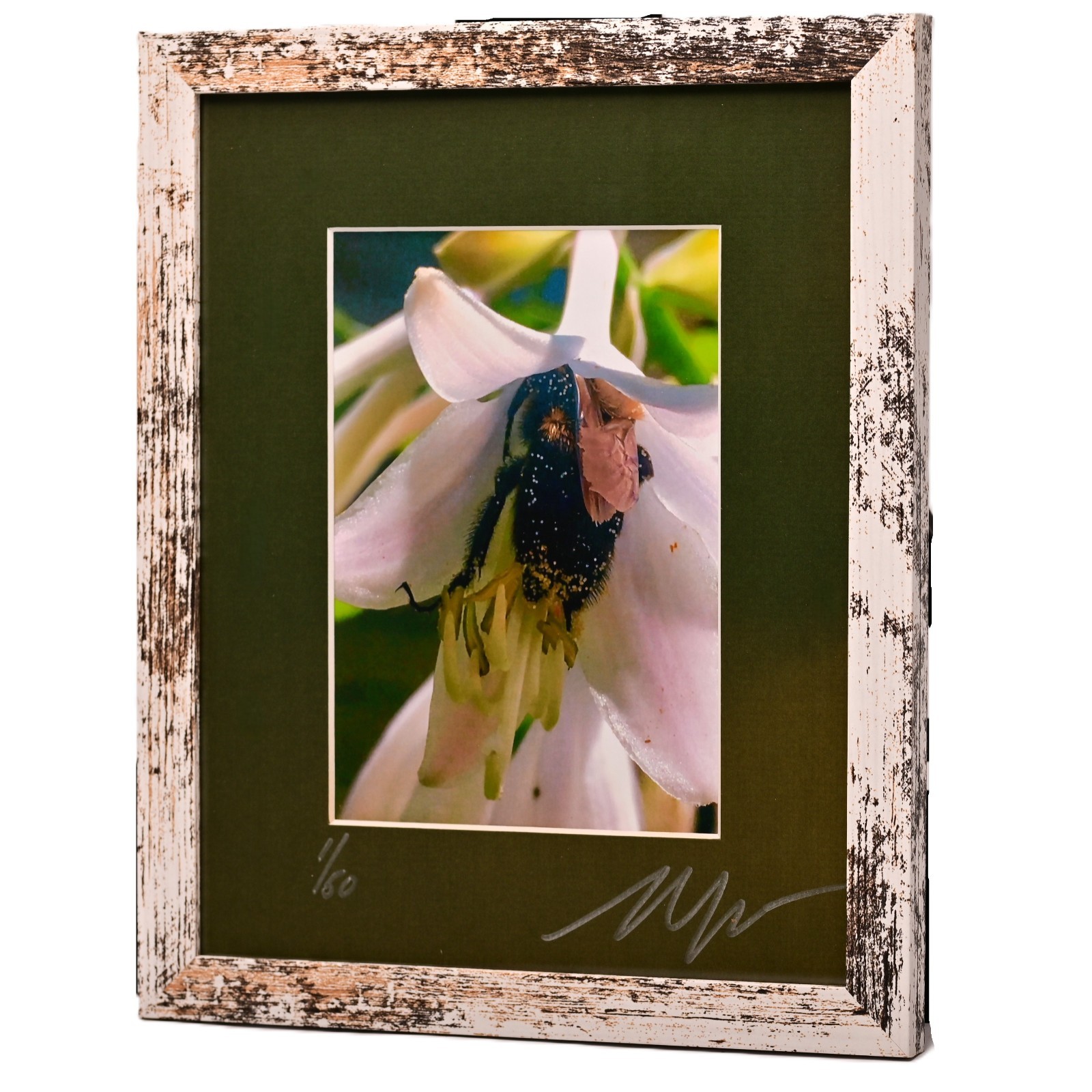 MICHAEL RAY Original Vintage Signed Long Island NY Floral Still Life Photograph