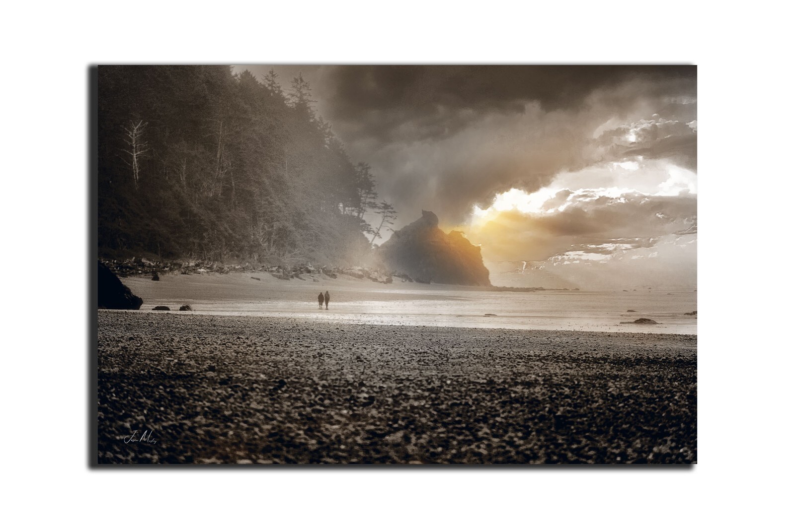 Olympic National Park Photography Ruby Beach panoramic landscape Metal 24×36″