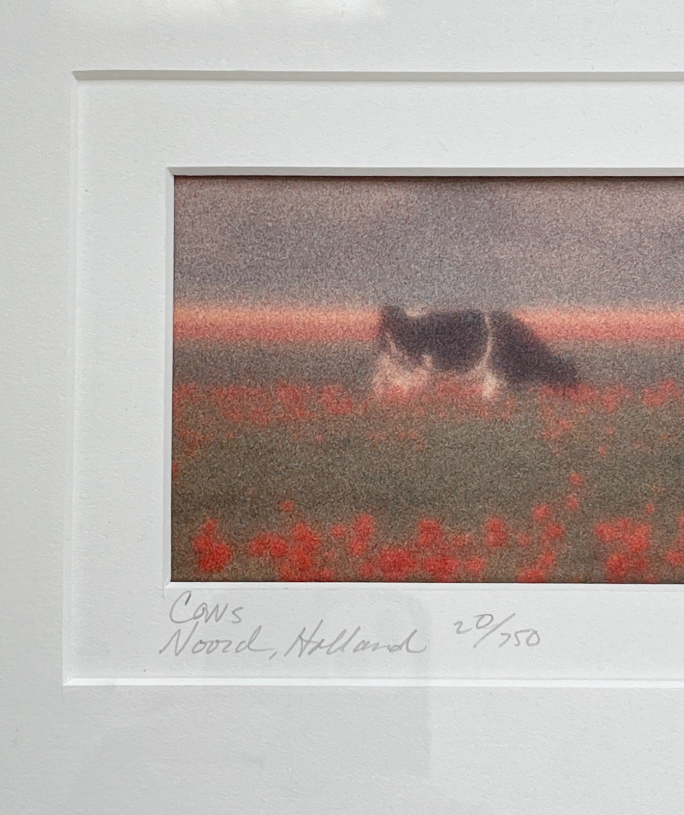 Vintage John Galbo Signed NOORD HOLLAND Panoramic Cow Pasture Art Framed Matted