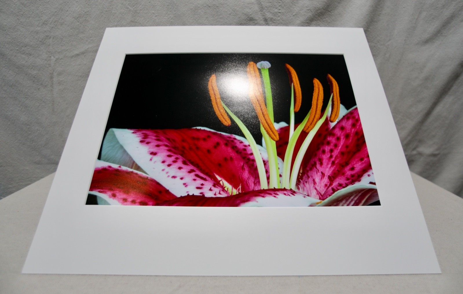 Original Photography Art Print “Stargazer”