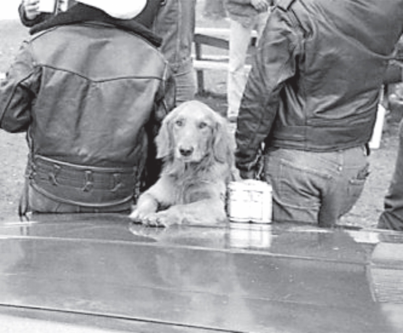 Whiskey Flat Days, Dog, Beer, Bikers, Harley, 1978. Photograph. Quality Print