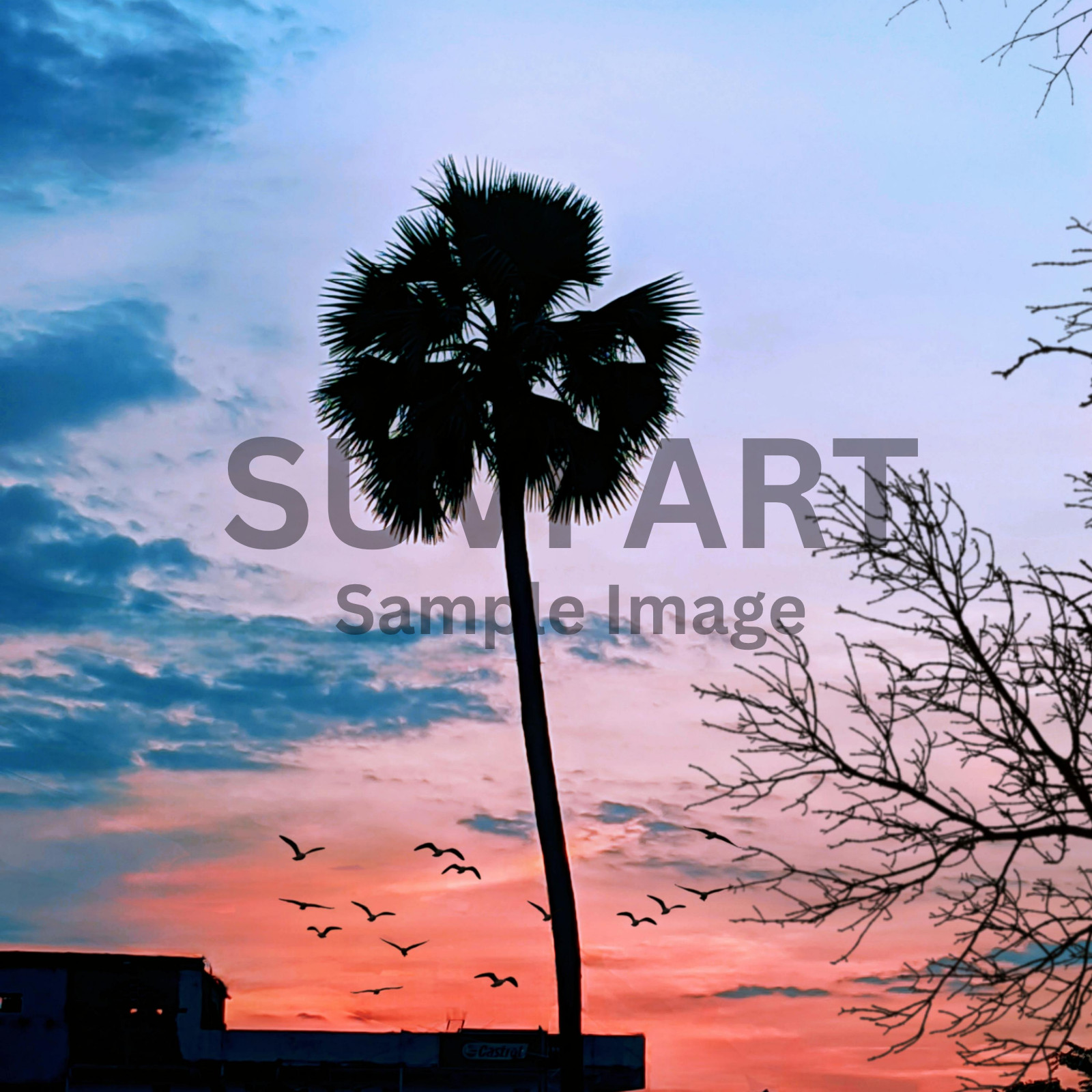 Digital Image Picture Photo Pic Wallpaper sunset with palm trees A-273