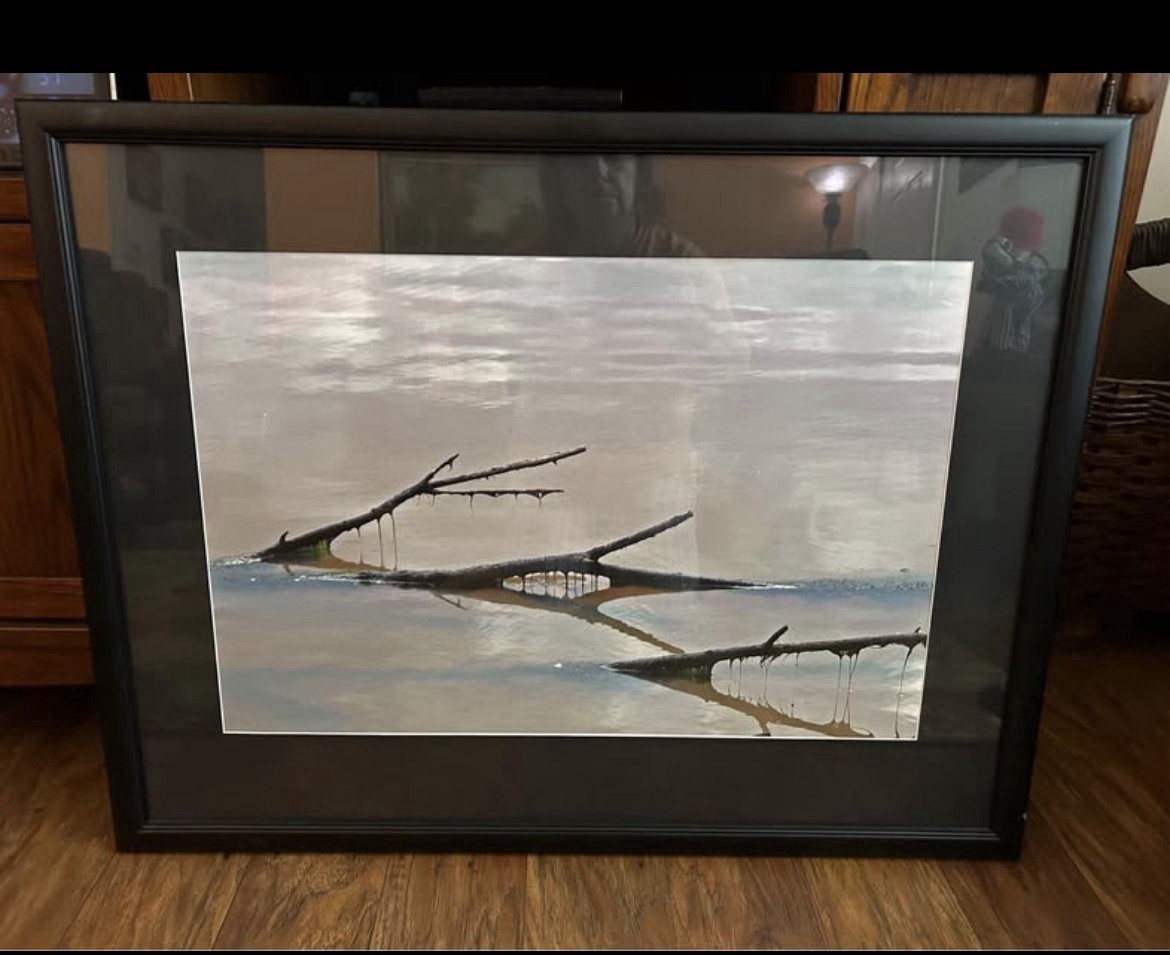 Jerry Jernigan strong spirts photography picture framed, and matted value $200