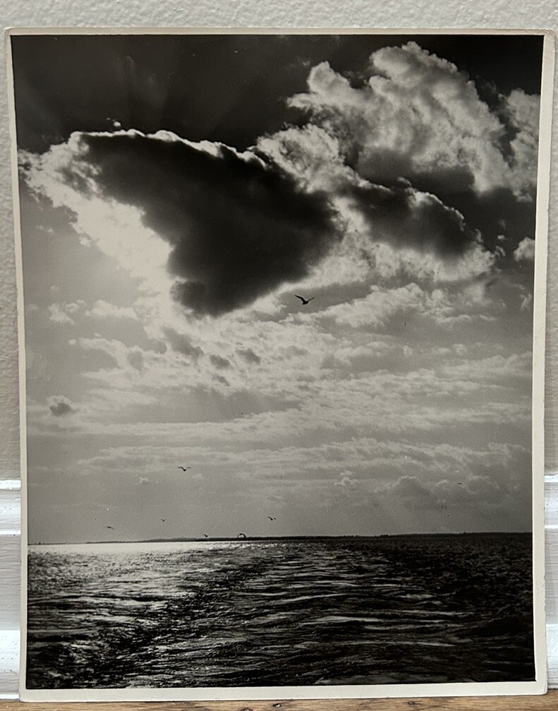 Arthur Gray Standard Oil Photographer Cleveland Ohio Americana Seascape Look!!