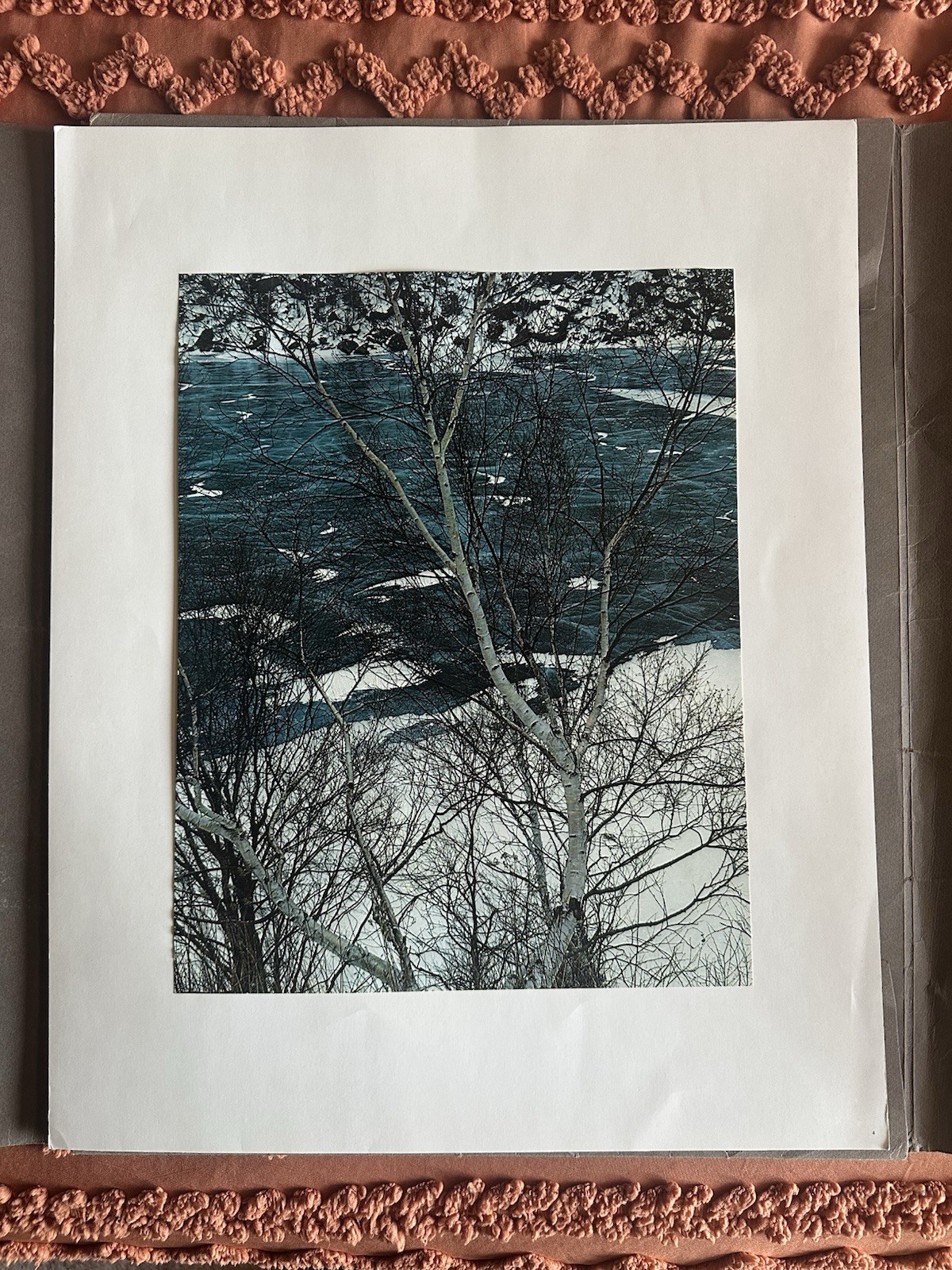 Vintage Eliot Porter Portraits Of Nature Portfolio
