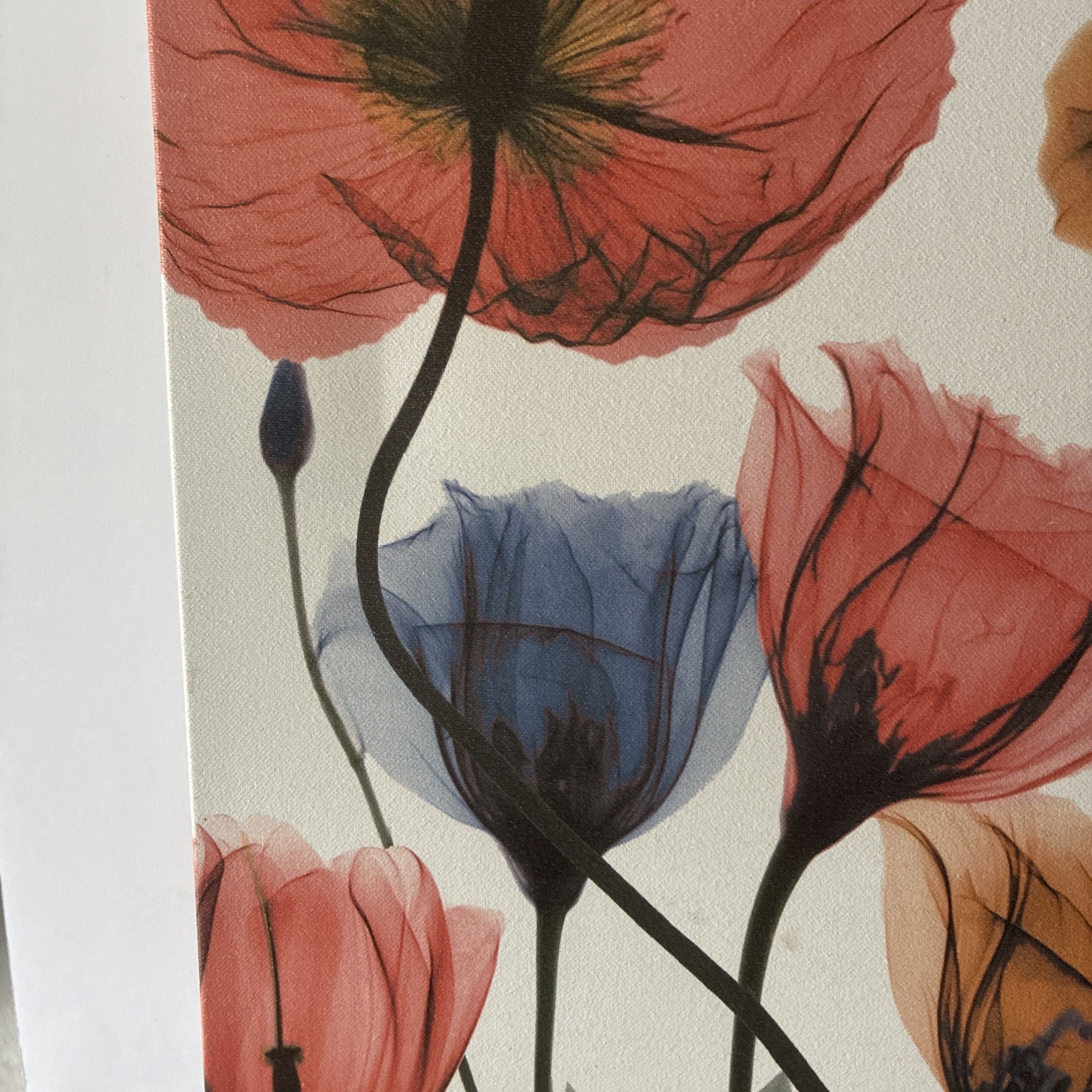 Albert Koetsier 19 1/2 x 15 1/2 Radiographic On Unframed Canvas Flowers Images