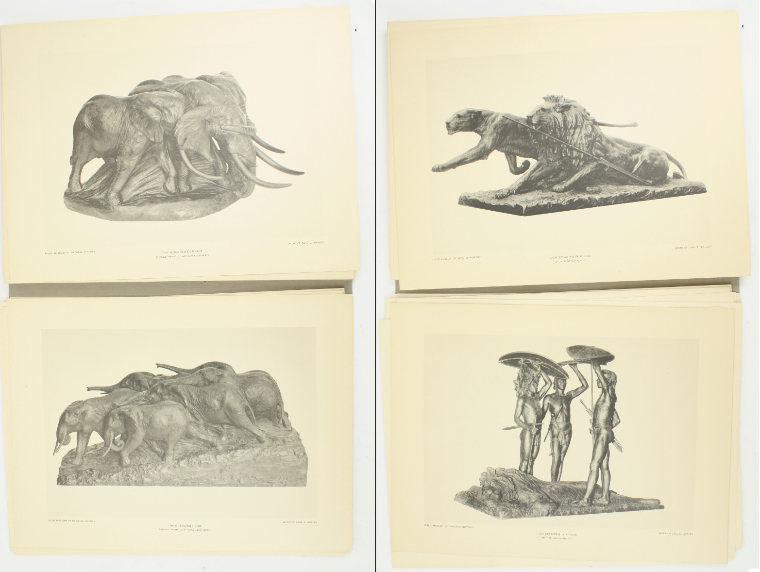 1927 Carl Akeley Photo Set Field Museum Natural History IL Taxidermy & Sculpture