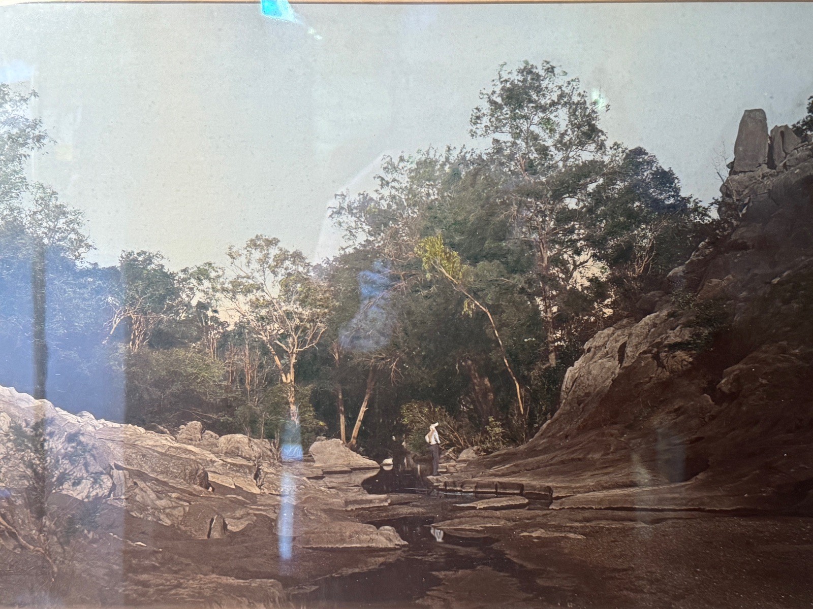 c.1900 Hand-Tinted Albumen Photograph Indigenous Landscape in Burr-Walnut Frame